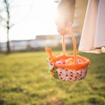 Nulla pellentesque mollis turpis a consequat felis vel massa magna